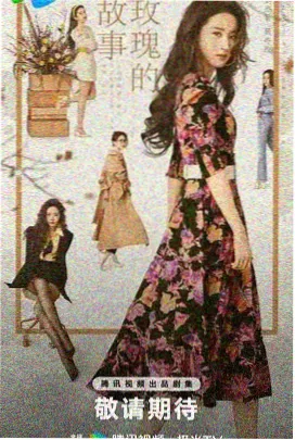 回南天记事 剧集在线观看封面