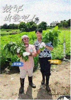 周末不加班 综艺在线观看封面